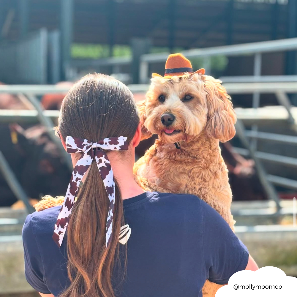 Ribbon Bow Clip - Rodeo Cowgirl