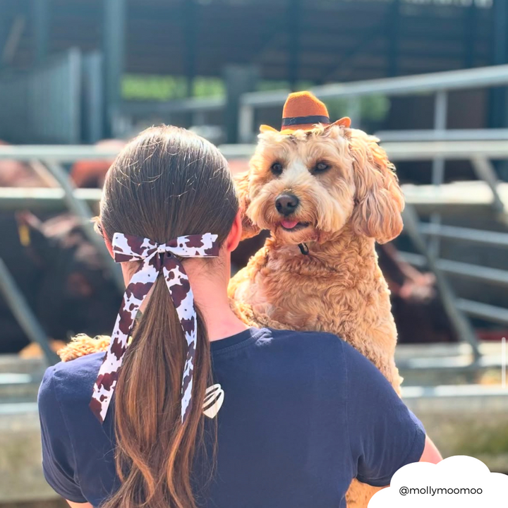 Ribbon Bow Clip - Rodeo Cowgirl