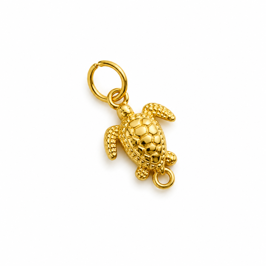 Charm - Turtle