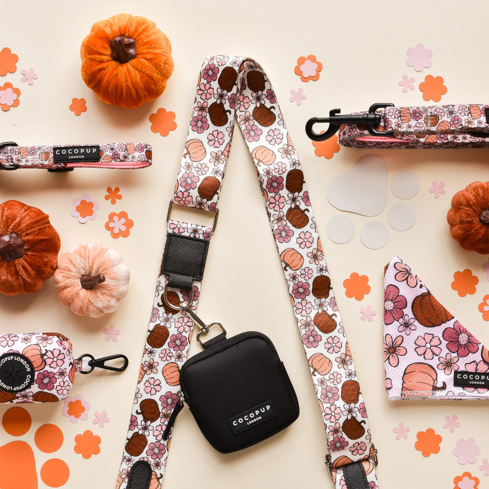 Dog Walking Black Bag Bundle - Pumpkin Meadow