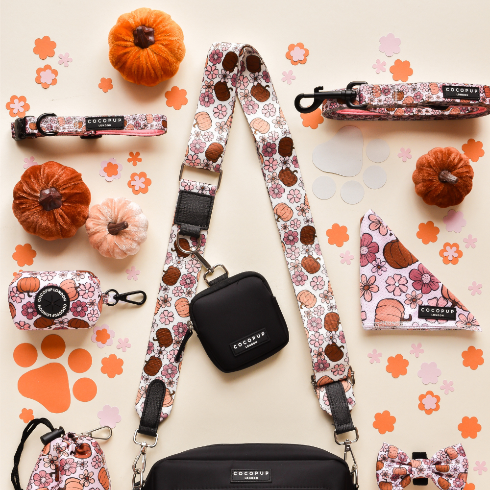 Dog Walking Black Bag Bundle - Pumpkin Meadow