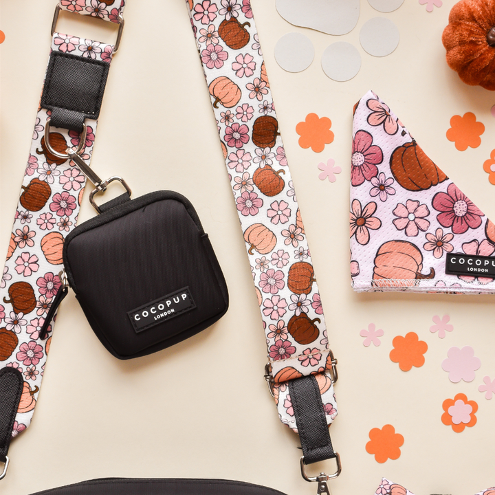 Dog Walking Black Bag Bundle - Pumpkin Meadow