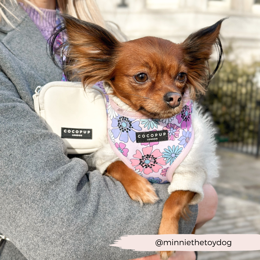 Dog Walking Oyster White Bag Bundle - Pastel Flowers